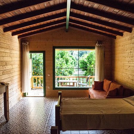 Ekinoks Hotel - Adults Only Çıralı Szoba fotó