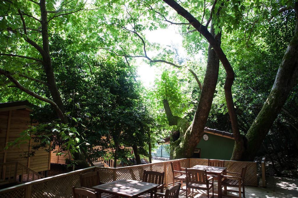 Ekinoks Hotel - Adults Only Çıralı Kültér fotó