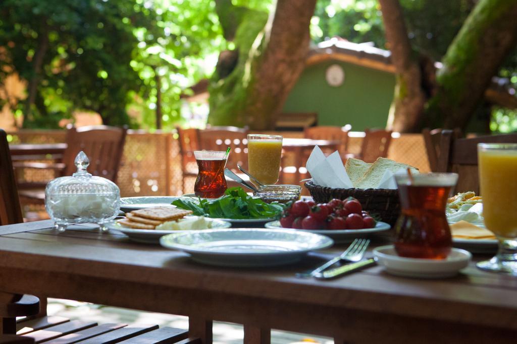 Ekinoks Hotel - Adults Only Çıralı Kültér fotó