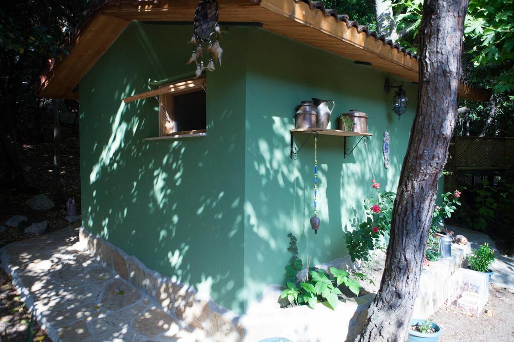 Ekinoks Hotel - Adults Only Çıralı Kültér fotó