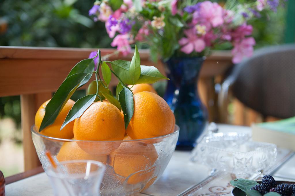 Ekinoks Hotel - Adults Only Çıralı Kültér fotó